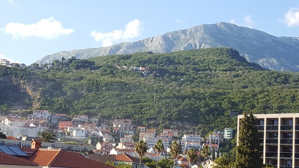 Апартаменты Apartment Aqua Херцег-Нови